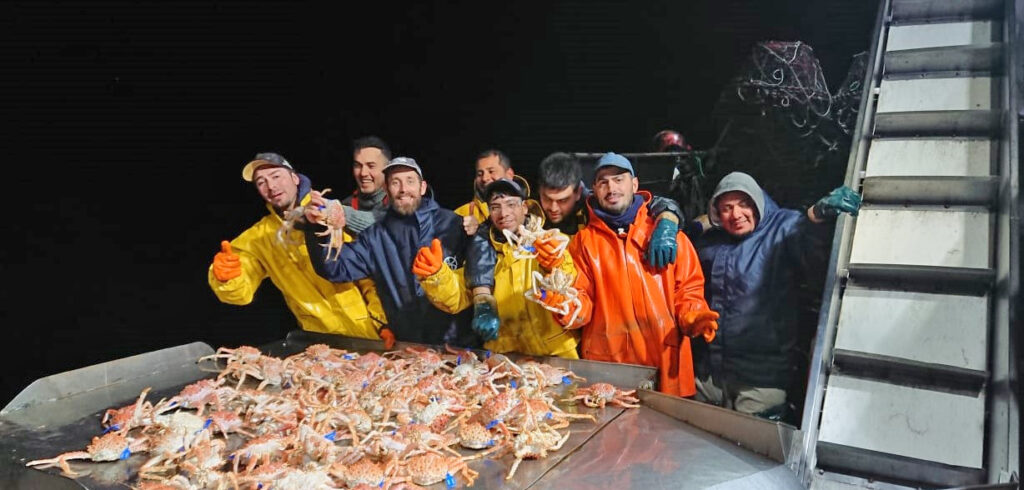 El INIDEP marcará 5 mil hembras de centolla