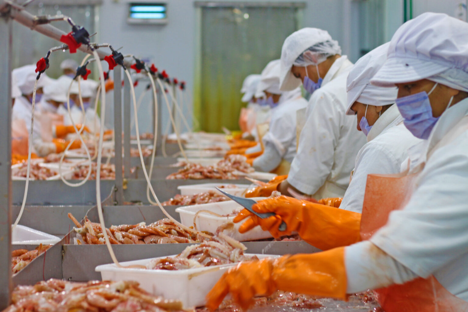 Intercámaras exigió “eliminar” la reforma pesquera de la Ley Ómnibus y no tocar las retenciones