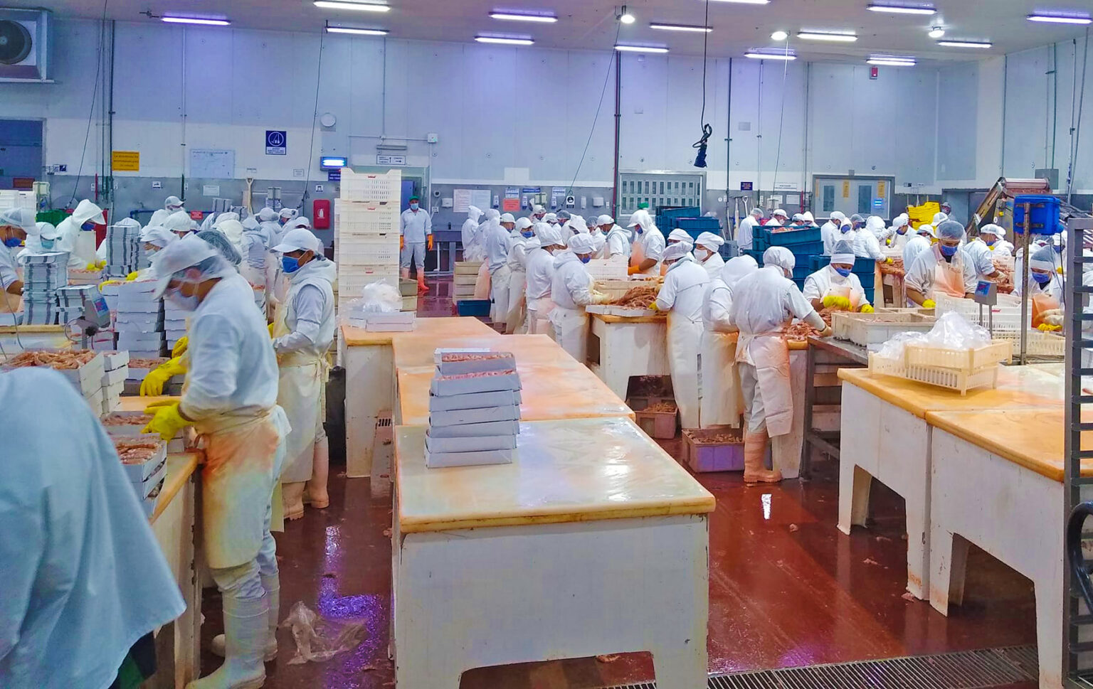 La industria pesquera solicita acciones para preservar la paz social