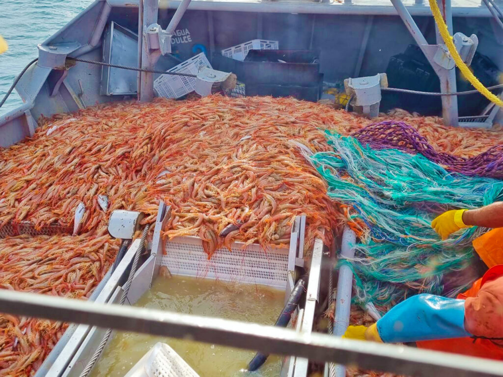 Barcos piden que les reintegren el 15% que les cobraron por ‘retenciones’