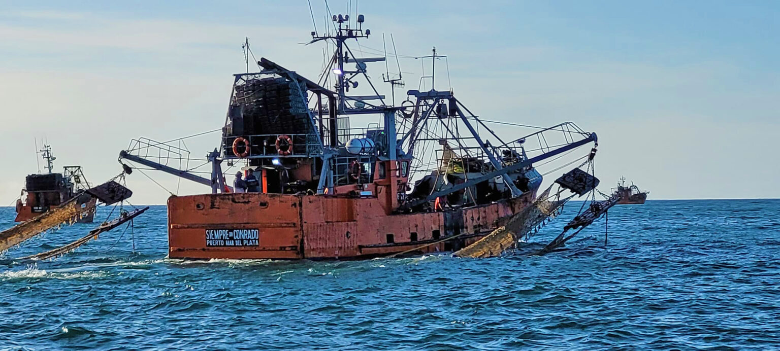 Más de treinta barcos retomaron la temporada de langostino en Rawson