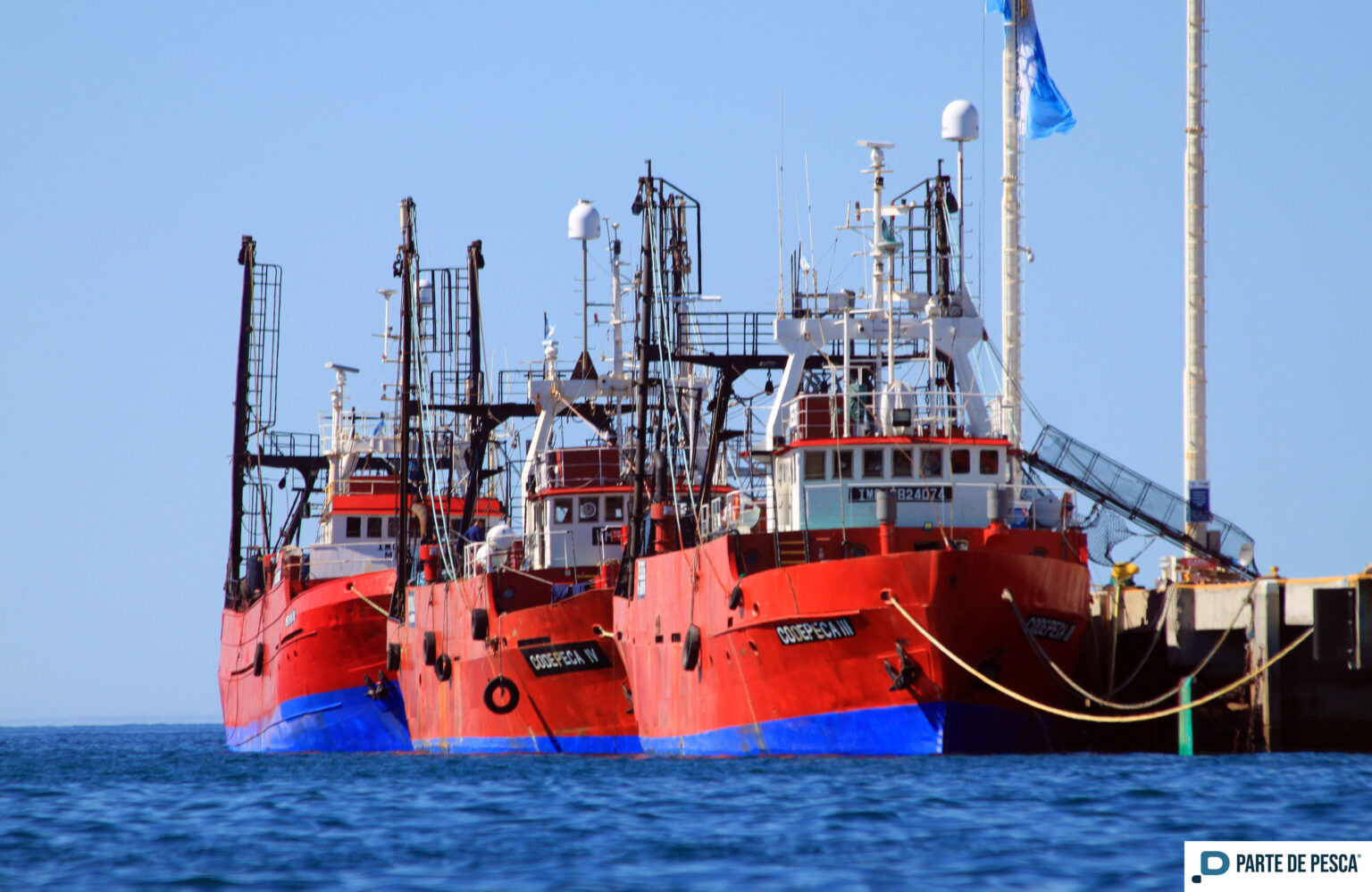 Cuarta semana con un centenar de congeladores tangoneros en puerto