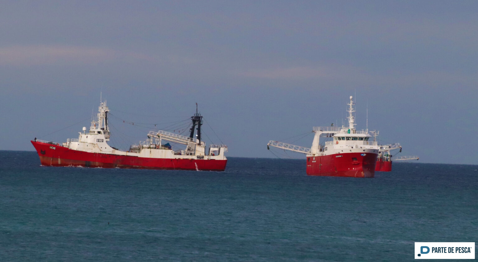 Langostino: tras fallar las prospecciones es inminente el cierre de temporada