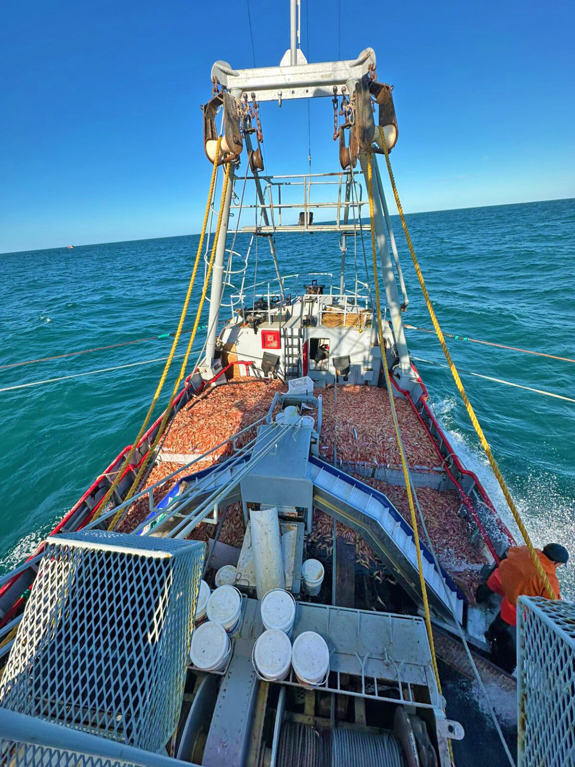 El BP Bagual retomó las operaciones de pesca tras estar interdicto