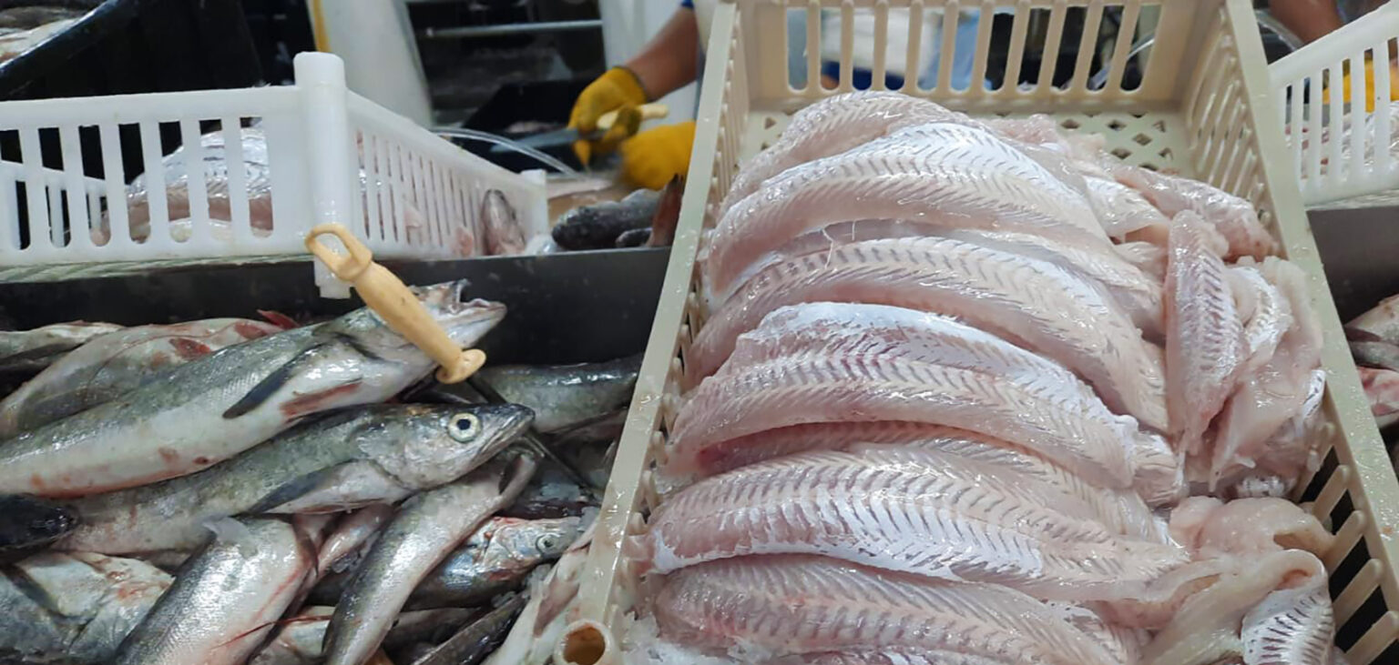 Reforma laboral: la indemnización por despido se reduce a casi la mitad