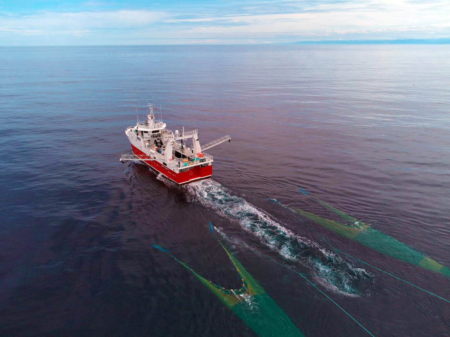 Con recomendación favorable del INIDEP se abrió la pesca de langostino