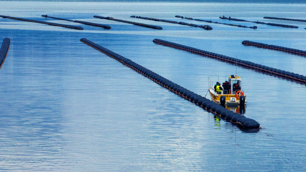 Tierra del Fuego presenta su Plan Provincial de Acuicultura