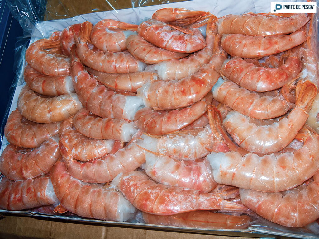 Conarpesa pidió elevar a 50% la producción de colas de langostino a bordo