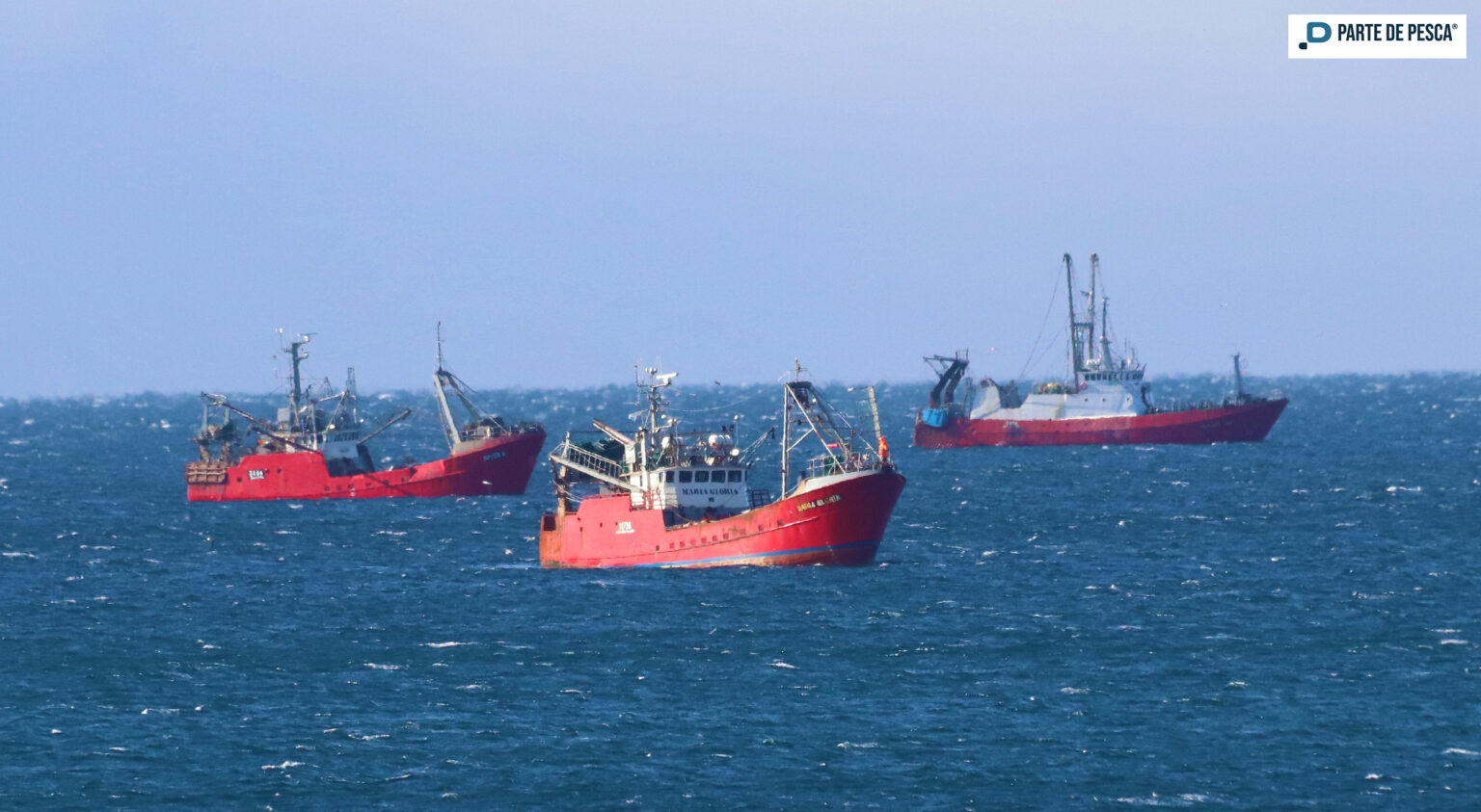 Prospección Langostino: cierre anticipado de Subárea 11 y parte de Subárea 12
