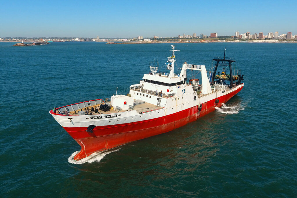 Rechazaron pedido de aumentar el by-catch de calamar para buques arrastreros