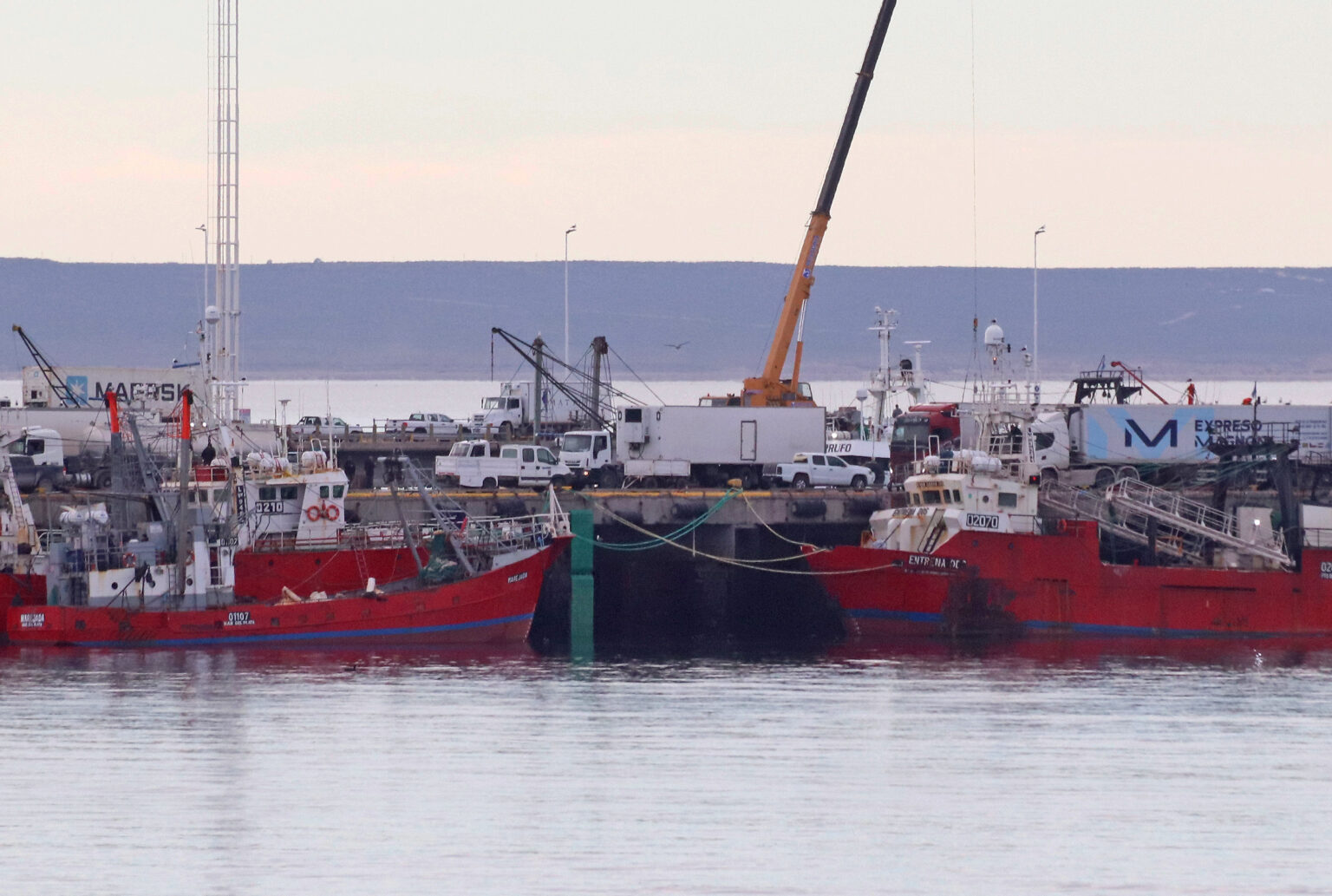 Las descargas pesqueras en Madryn crecieron 59% en el primer semestre