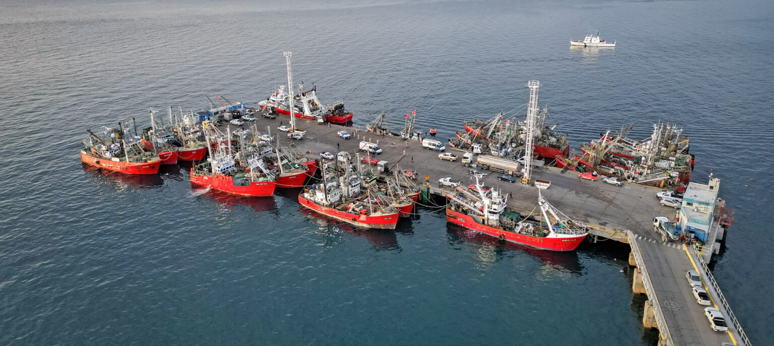 Puerto Madryn superó su récord histórico de desembarques pesqueros