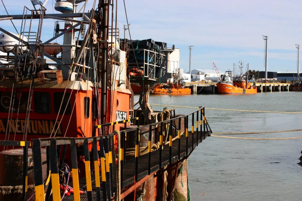 Marineros de Rawson deciden si aceptan actualizar el valor del langostino a $1.638