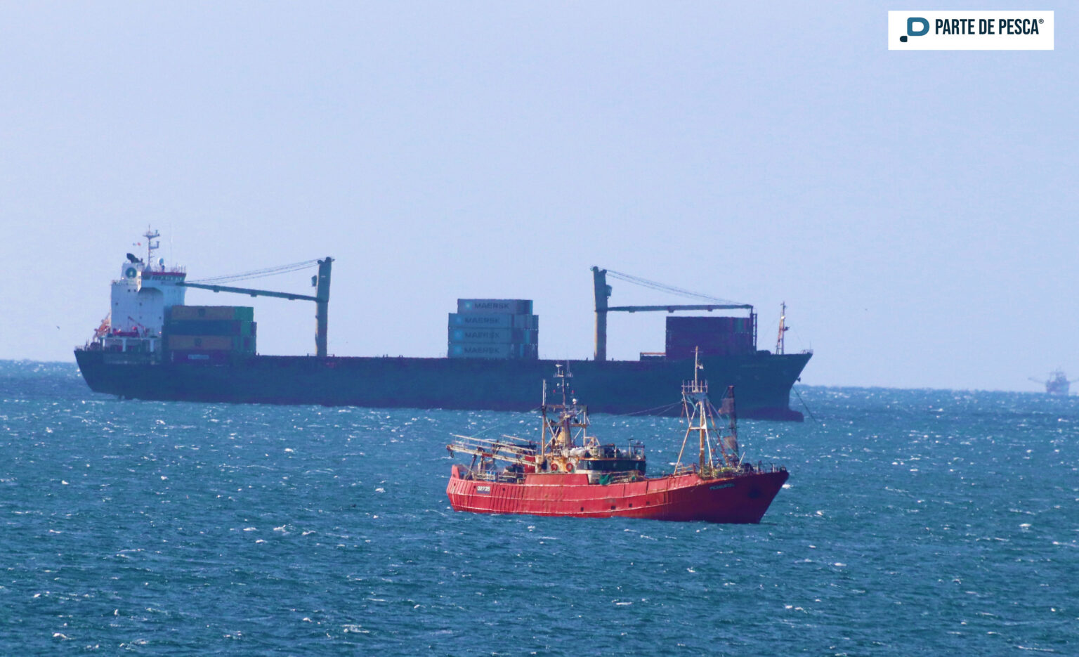 El CFP extendió hasta marzo de 2027 la reducción de aranceles para la flota fresquera