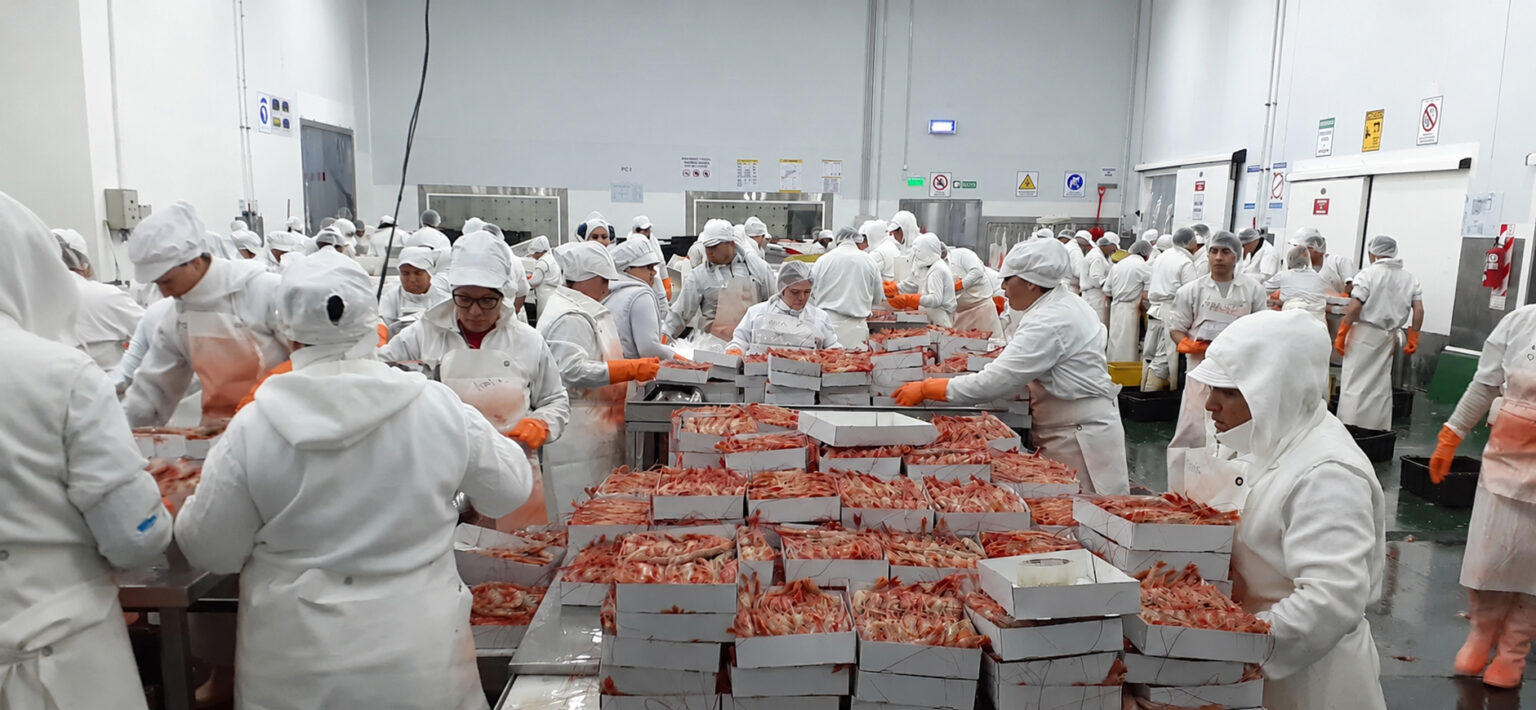 La Cámara de Apelaciones de Madryn ratificó la validez de los contratos eventuales en la pesca